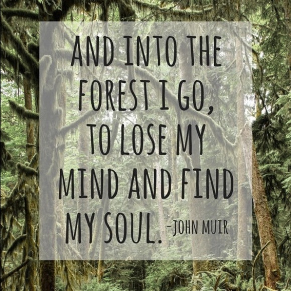 “Adventure Within” Nature Mountain Forest Necklace - Picture 4 of 7